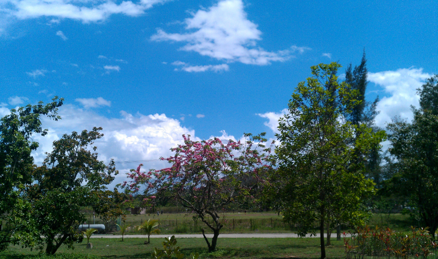 Botánico de Villa Clara Garden, Cuba